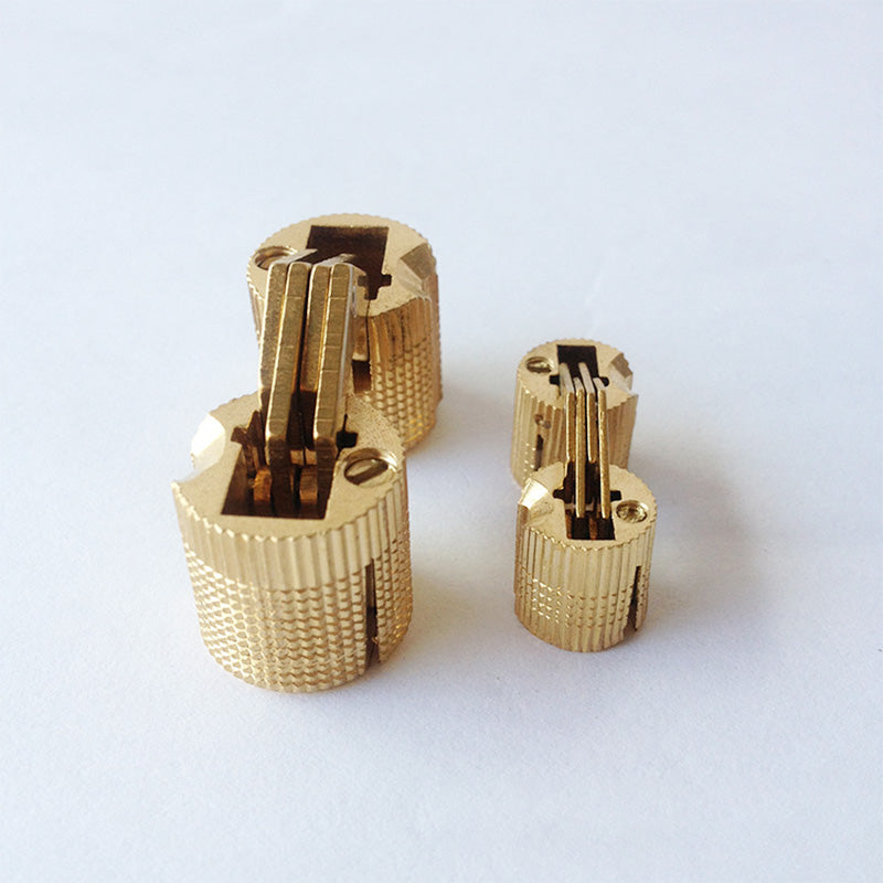 Concealed Brass Hinges