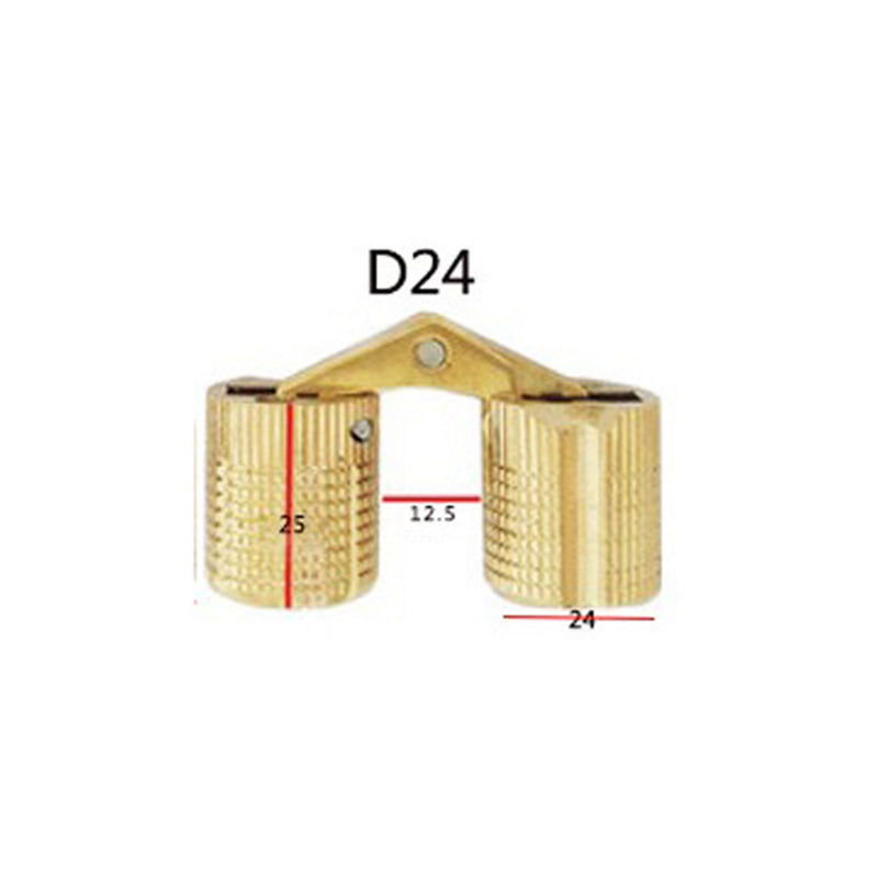 Concealed Brass Hinges